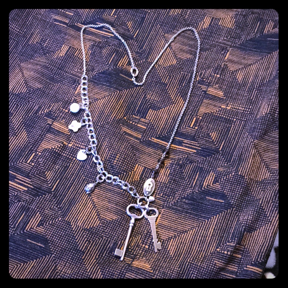 EUC Vintage Fossil Stainless Steel LONG necklace